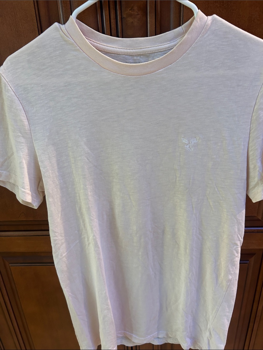 American Eagle Outfitters Pale Pink Crew Neck T-Shirt